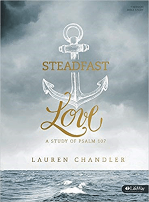 A Steadfast Love book cover